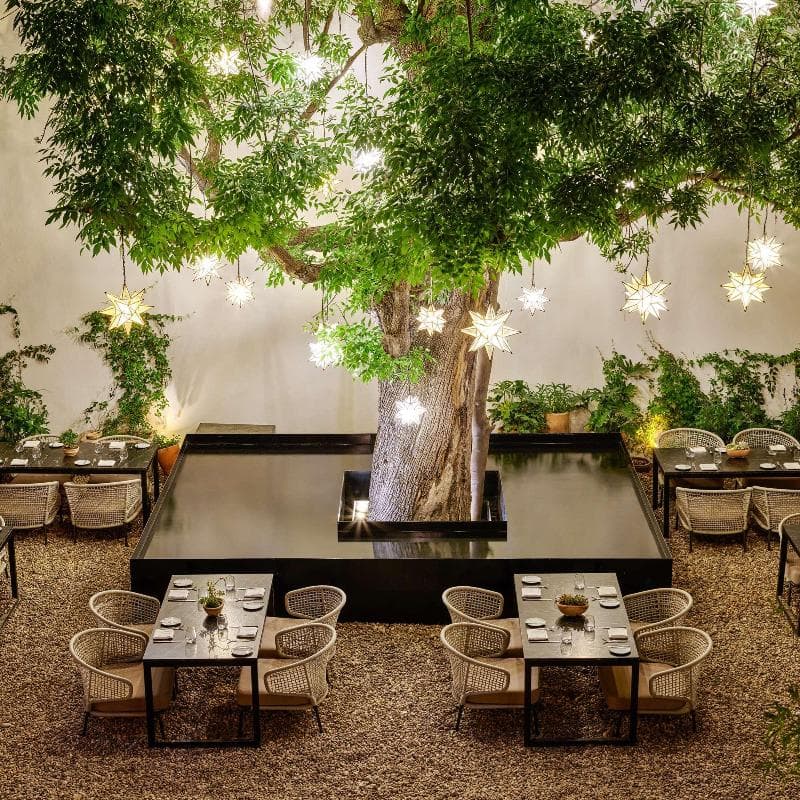 Live Aqua San Miguel de Allende (Adults only) 4