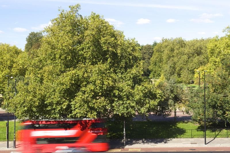 The Wellesley Knightsbridge, A Luxury Collection Hotel, London 2