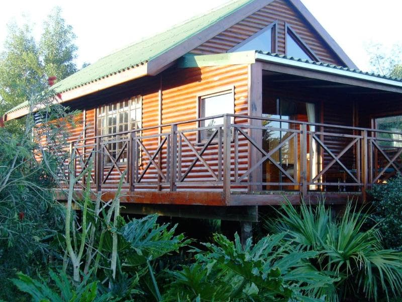 Misty Mountain Reserve 3