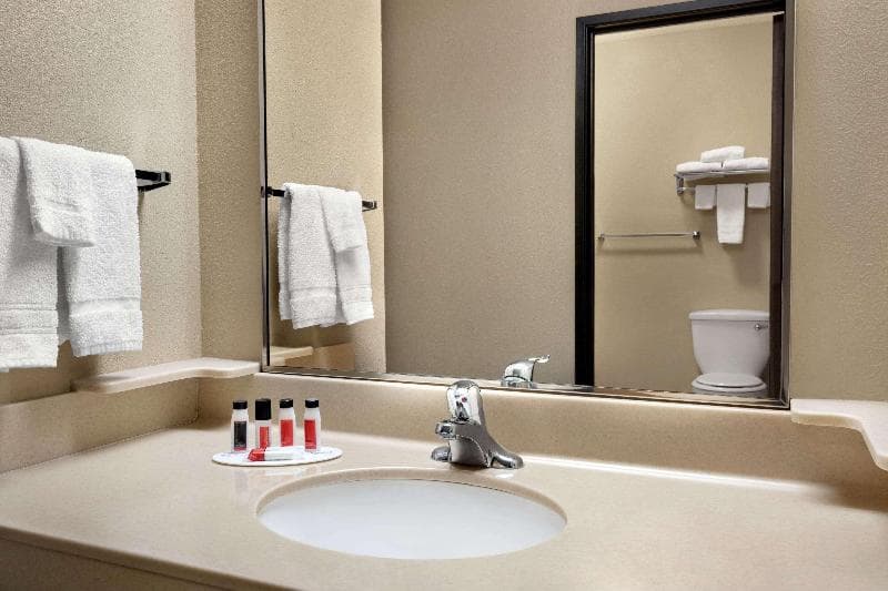 Baymont By Wyndham Sioux Falls North/I-29/Russell Street 4