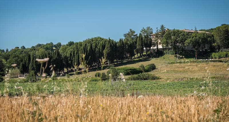 Hotel Villa Montegranelli 3