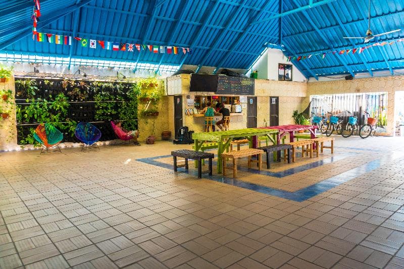 Wonderland Party Hostel 2