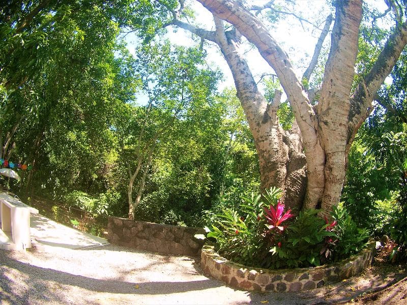 Hotel Posada Comala 4
