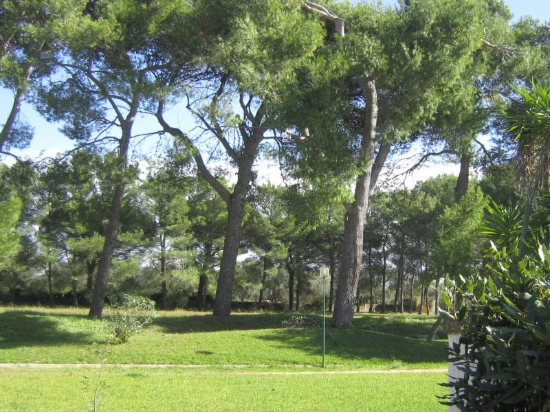 Masseria Fabrizio 5