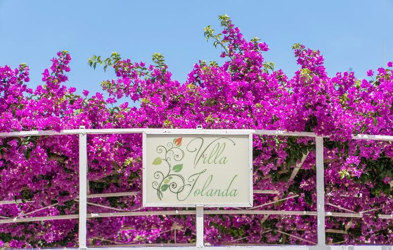 Villa Iolanda 1