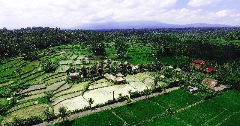 De Klumpu Bali Eco Tradi Place main