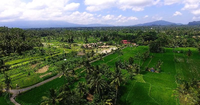De Klumpu Bali Eco Tradi Place 5