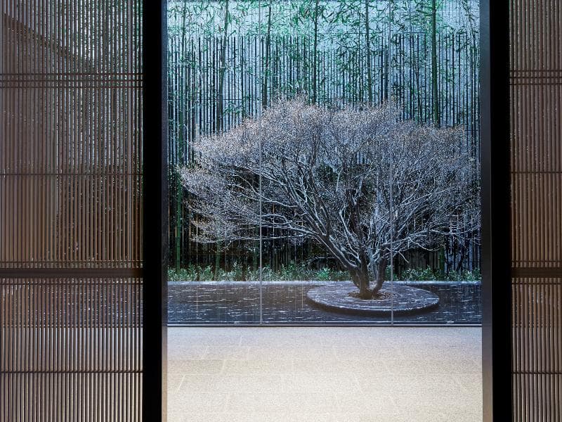 The Thousand Kyoto 5