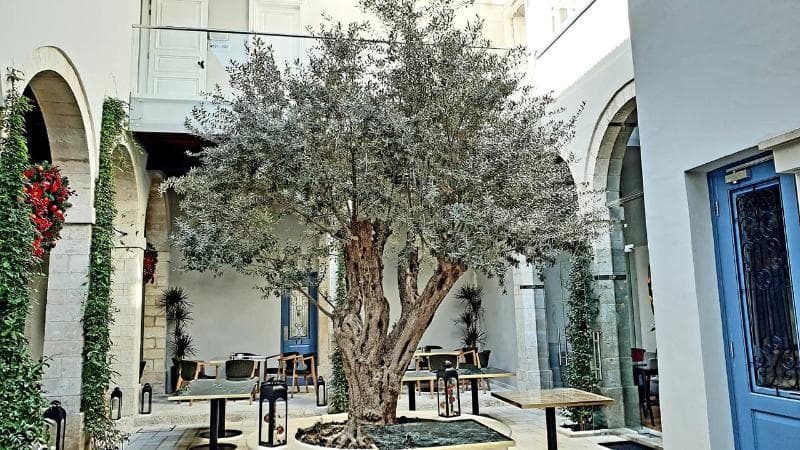 S Paul Hotel (Adults only) 5