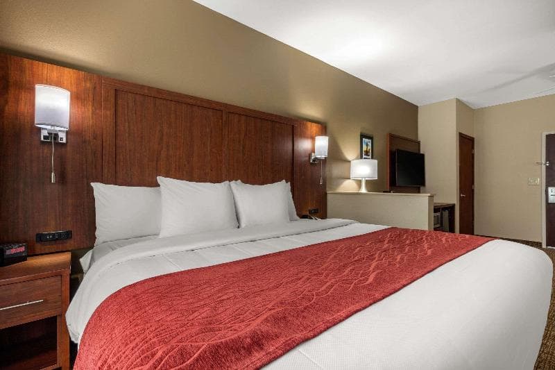 Comfort Inn & Suites Montgomery East Carmichael Rd 4