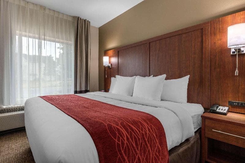 Comfort Inn & Suites Montgomery East Carmichael Rd 5