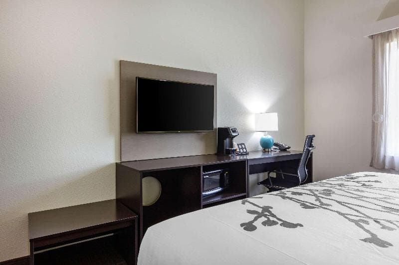 Sleep Inn And Suites Tampa South 4