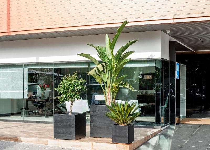Sevilla Green Suites 3