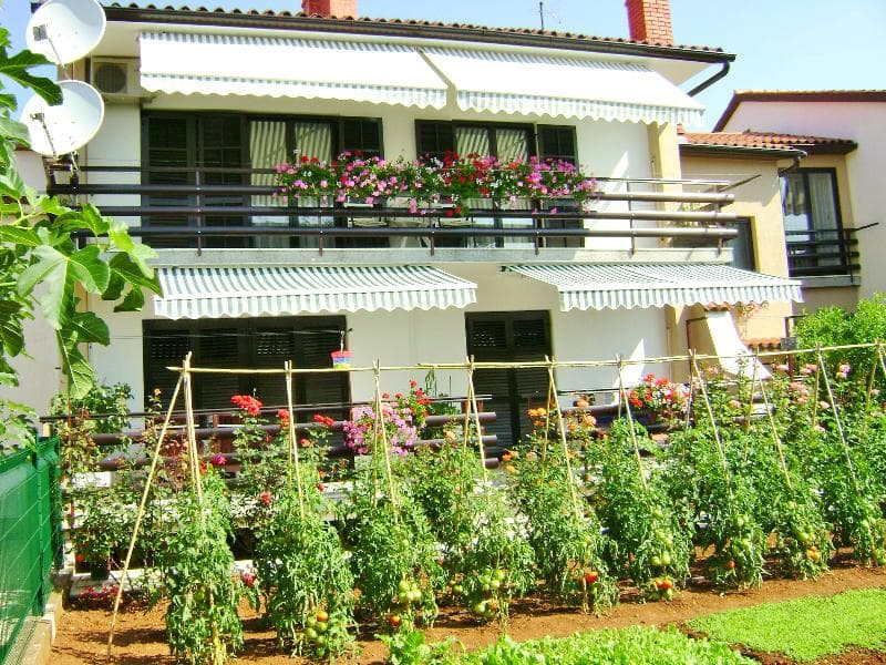 Apartments Miljenko 2