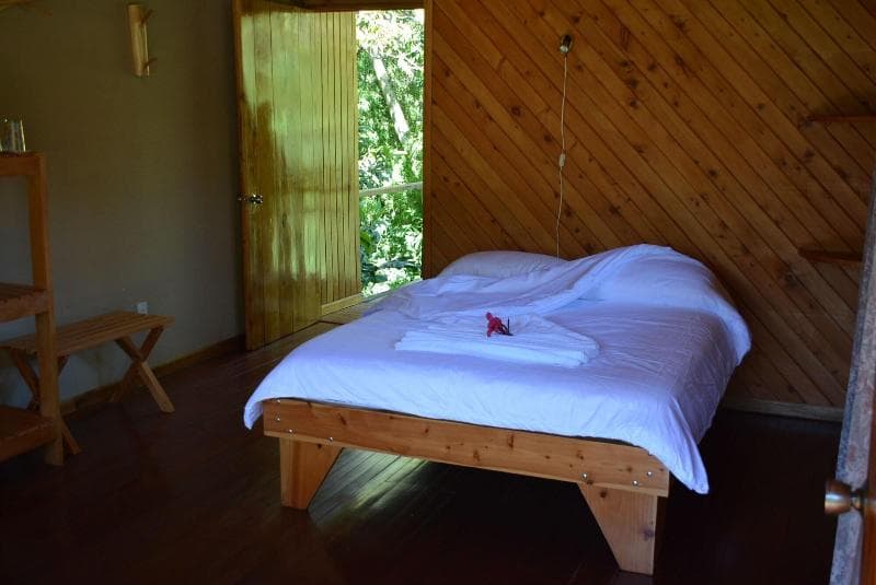 Toucanet Lodge 4