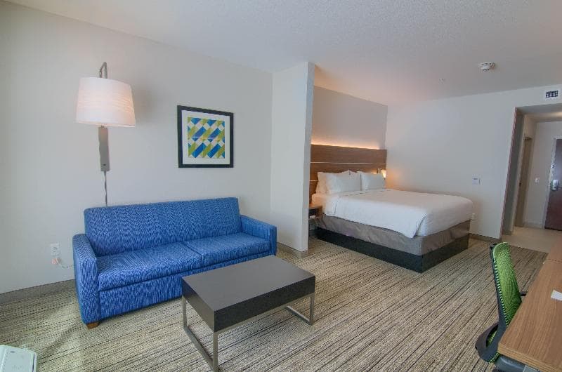 Holiday Inn Express & Suites Mobile-University Are 3
