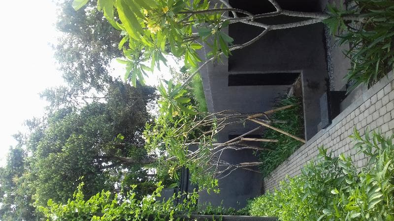 Origin Ubud 3