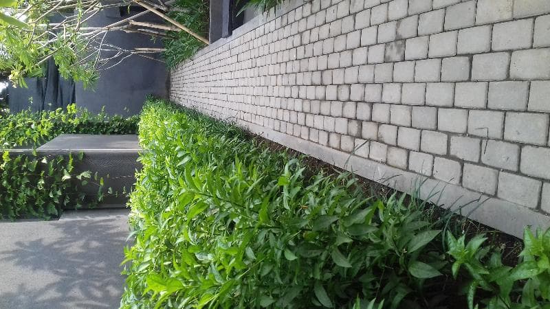 Origin Ubud 4