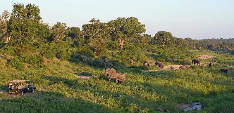 Jock Safari Lodge photo 1