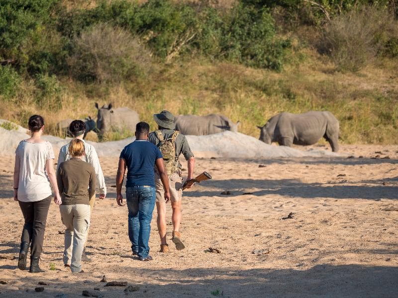 Jock Safari Lodge 3