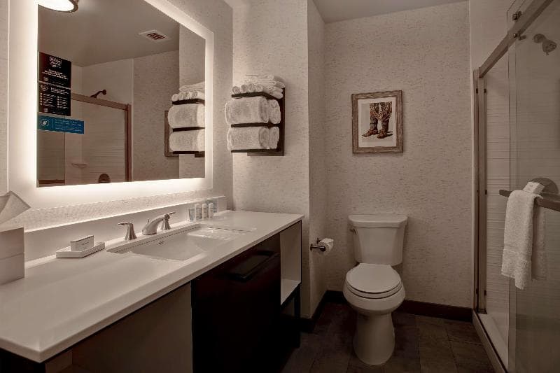 Hampton Inn & Suites San Antonio Riverwalk 4