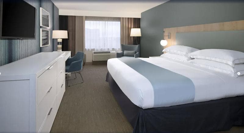 SunCoast Park Hotel Anaheim, Tapestry Collection by Hilton 4