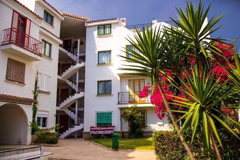 Kione Playa Romana 5