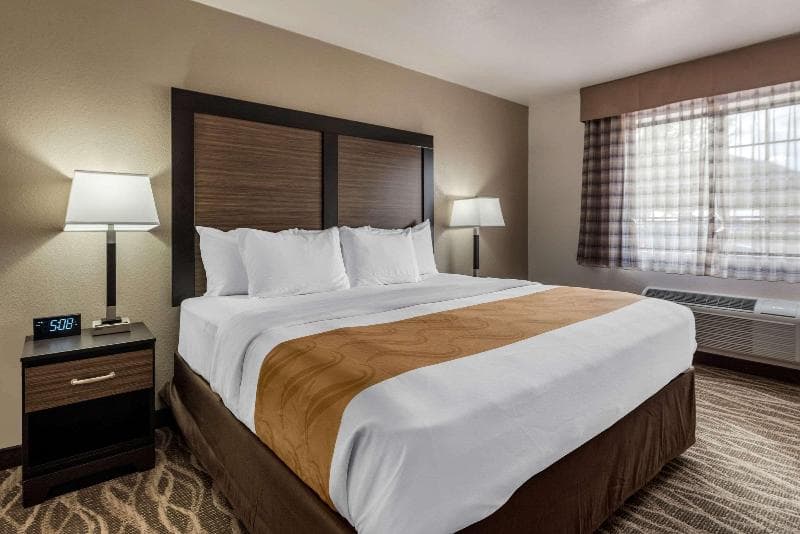 Quality Inn & Suites main