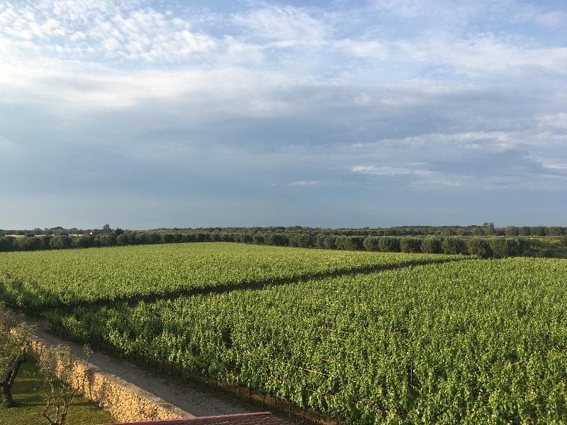 Masseria San Polo main