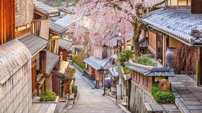 Dhawa Yura Kyoto 2