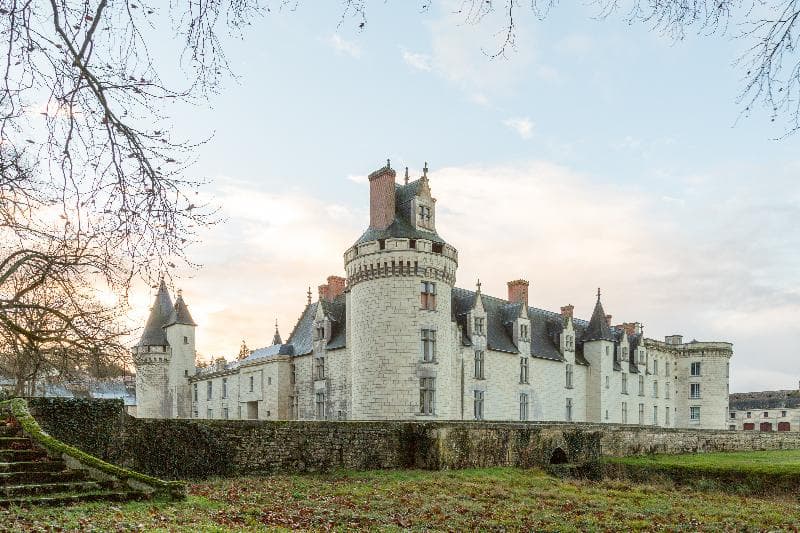 Chateau De Dissay photo 1