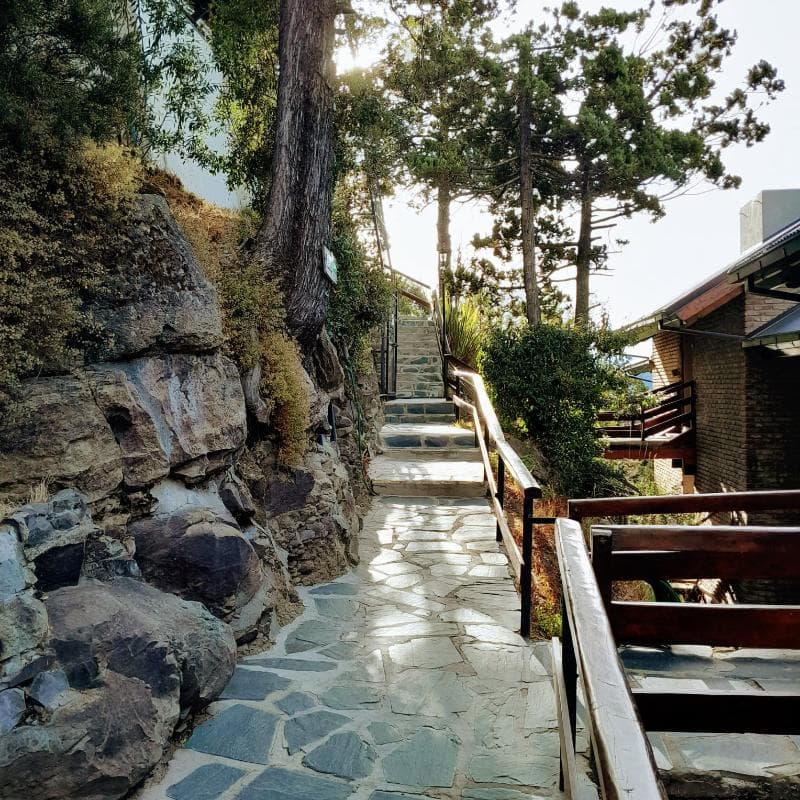 Las Gaviotas Bariloche photo 1