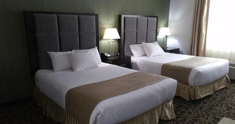 Paradise Inn And Suites Redwater 5