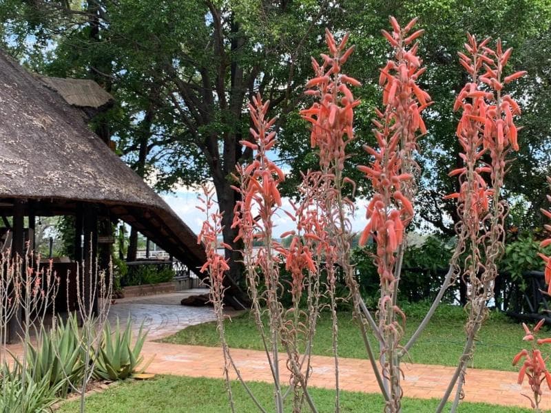 The Victoria Falls Waterfront Lodge 2