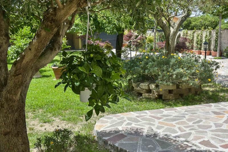 B&B A Casa Di Titty (Adults Only) 5
