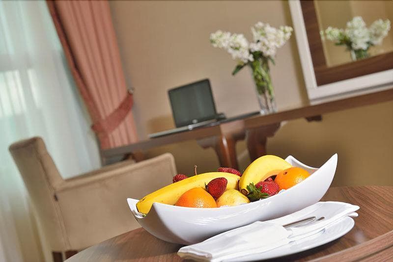 The Sign Kocaeli Thermal Spa Hotel & Convention Center 4