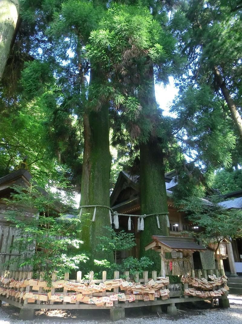 Hotel Grateful Takachiho 2