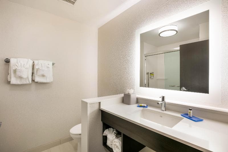 Holiday Inn Express & Suites Jacksonville - Town Center 4