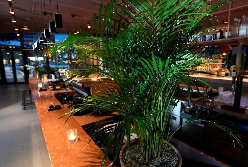 Best Western Plus Grow Hotel 5