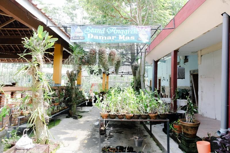 Oyo 563 Damar Mas Resort Lereng Kelud 5
