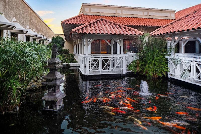 Hyatt Regency Grand Reserve Puerto Rico 5