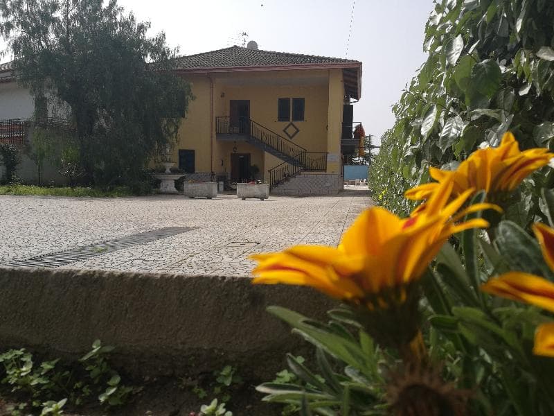 Garden Inn photo 1
