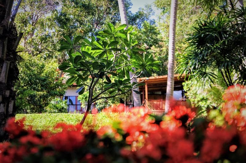 Alpha Gay Resort - Adults Only photo 1
