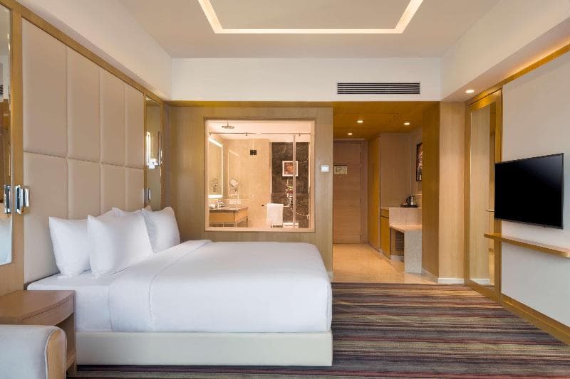 Radisson Blu Gorakhpur 3