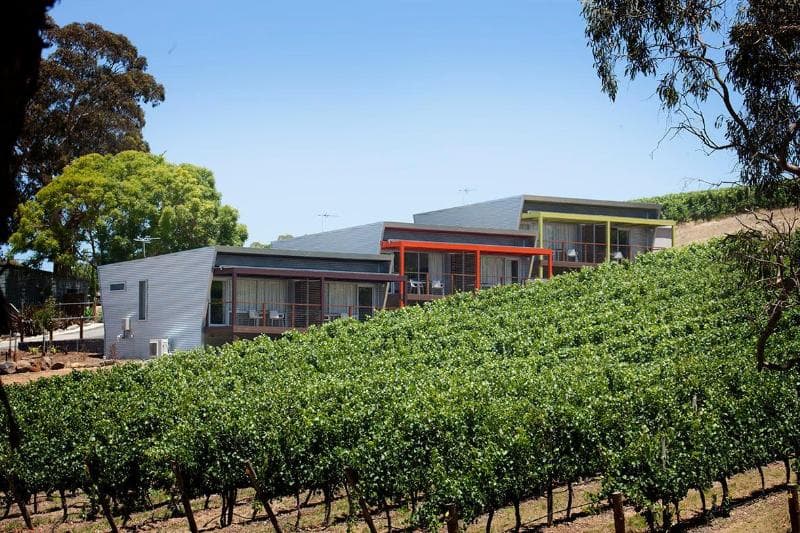 Longview Vineyard photo 1