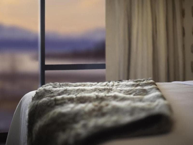 Ranginui B&B (Adults Only) 3