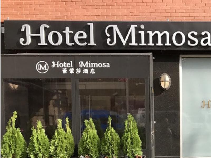 Hotel Mimosa photo 1