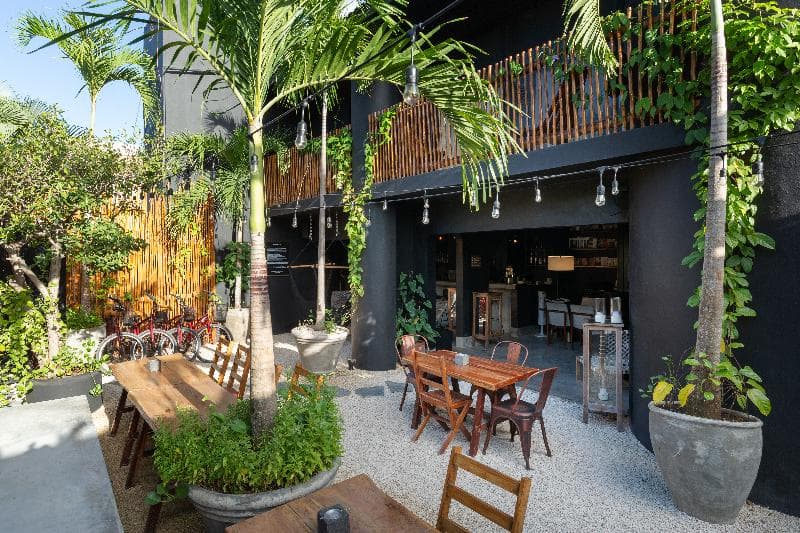 Aroma Tulum 5