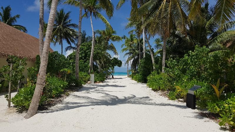 Cinnamon Velifushi Maldives 4