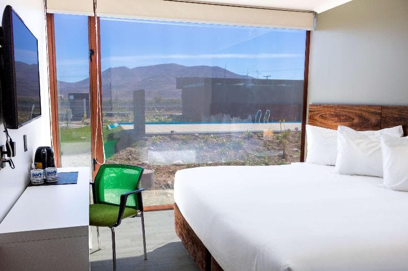 Park Inn by Radisson Los Olivos De Vallenar 3